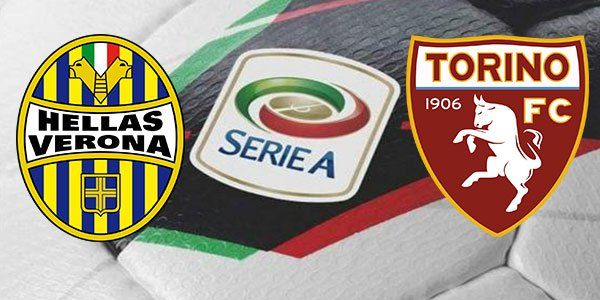 seriea-hellas-verona-torino-20150602