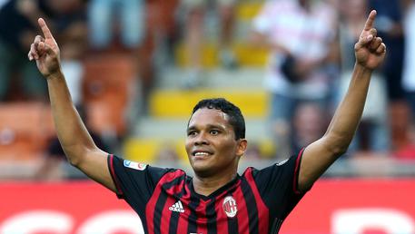 Bacca (Fonte: ansa.it)