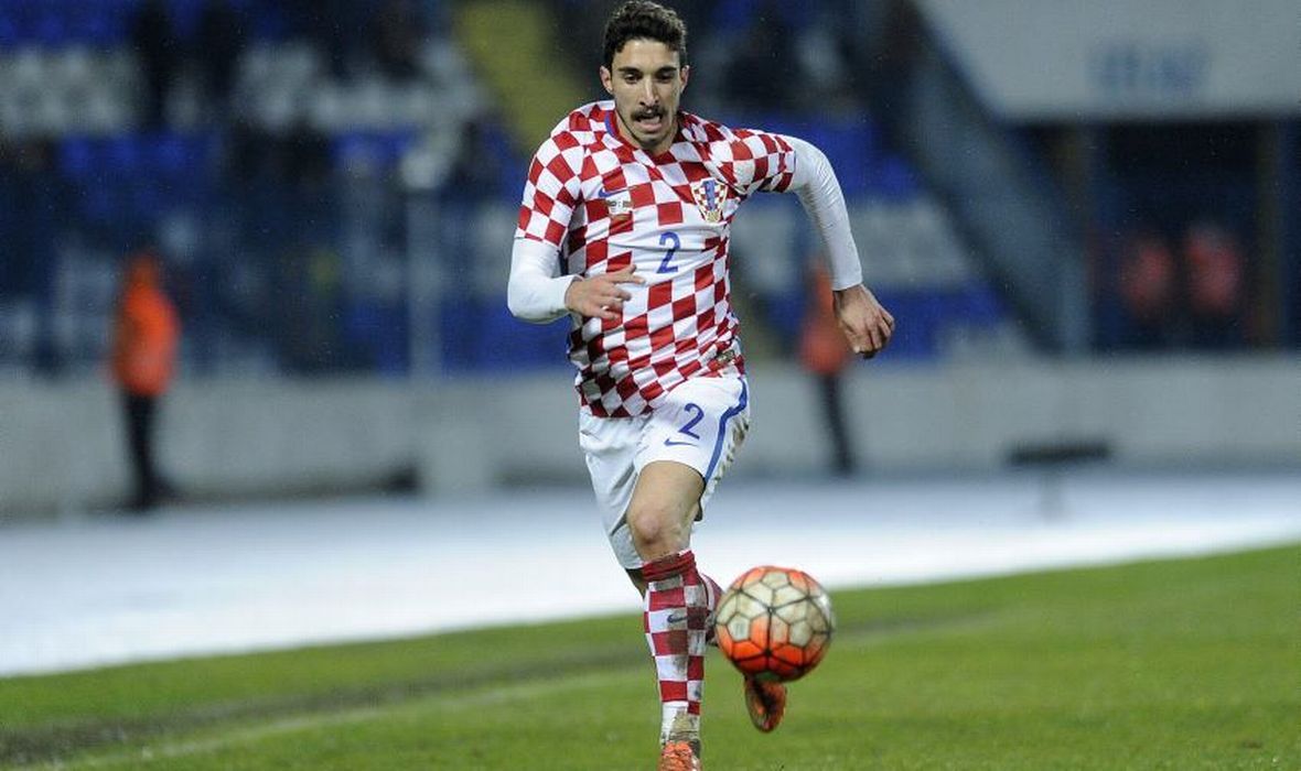 vrsaljko-1