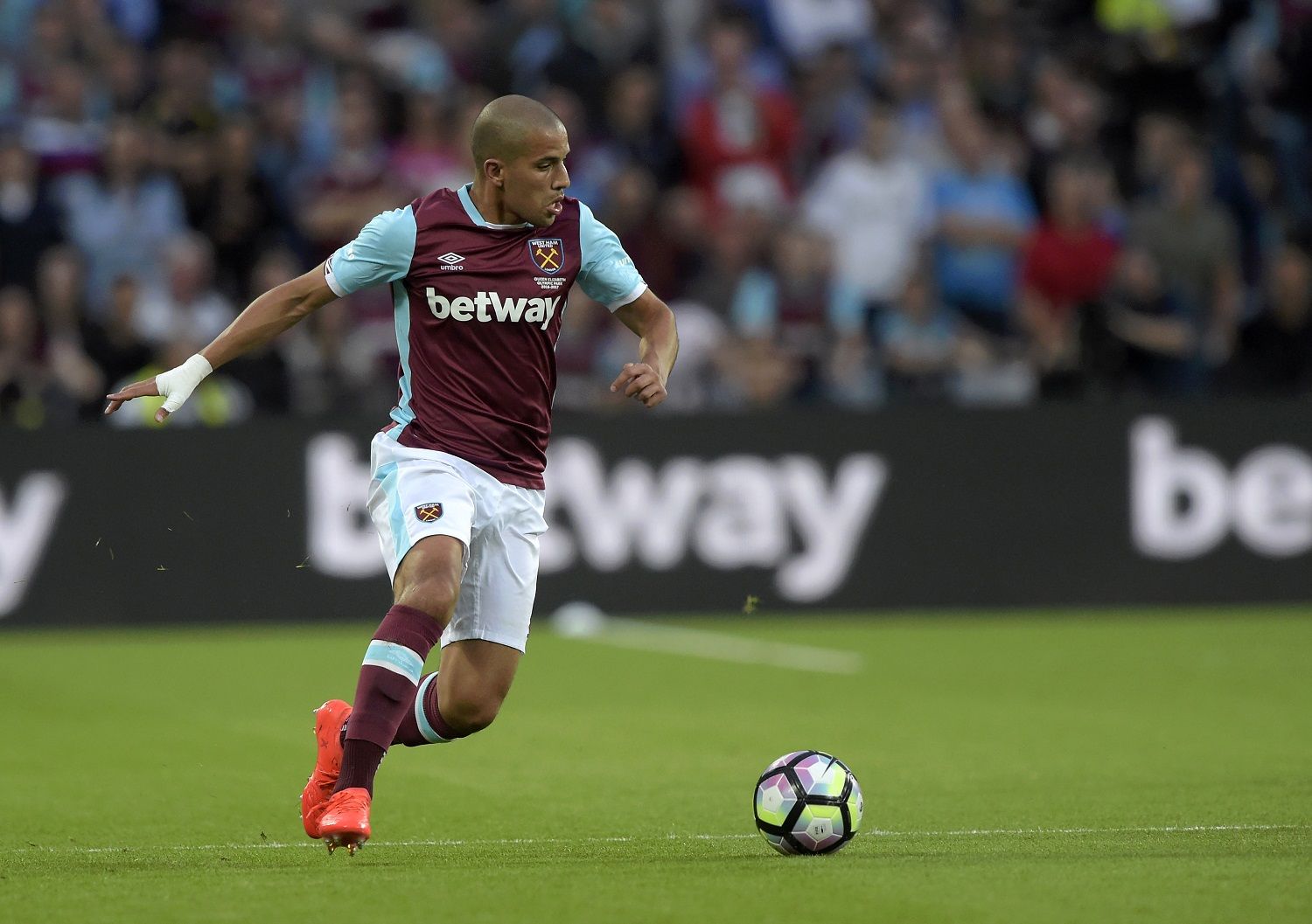 feghouli