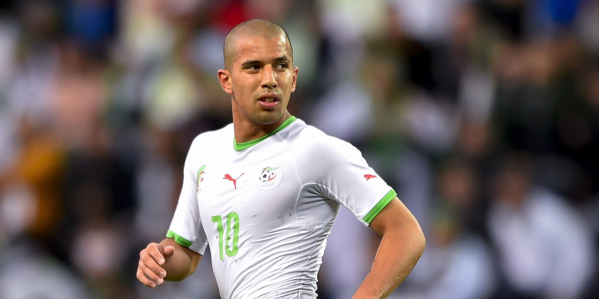 feghouli