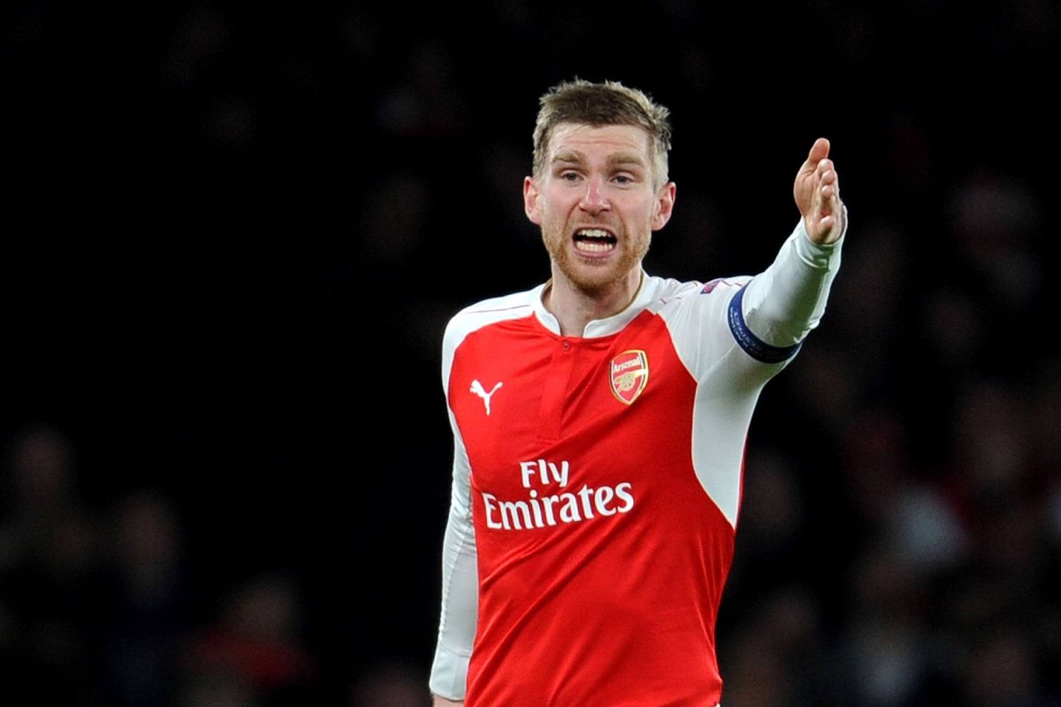 mertesacker