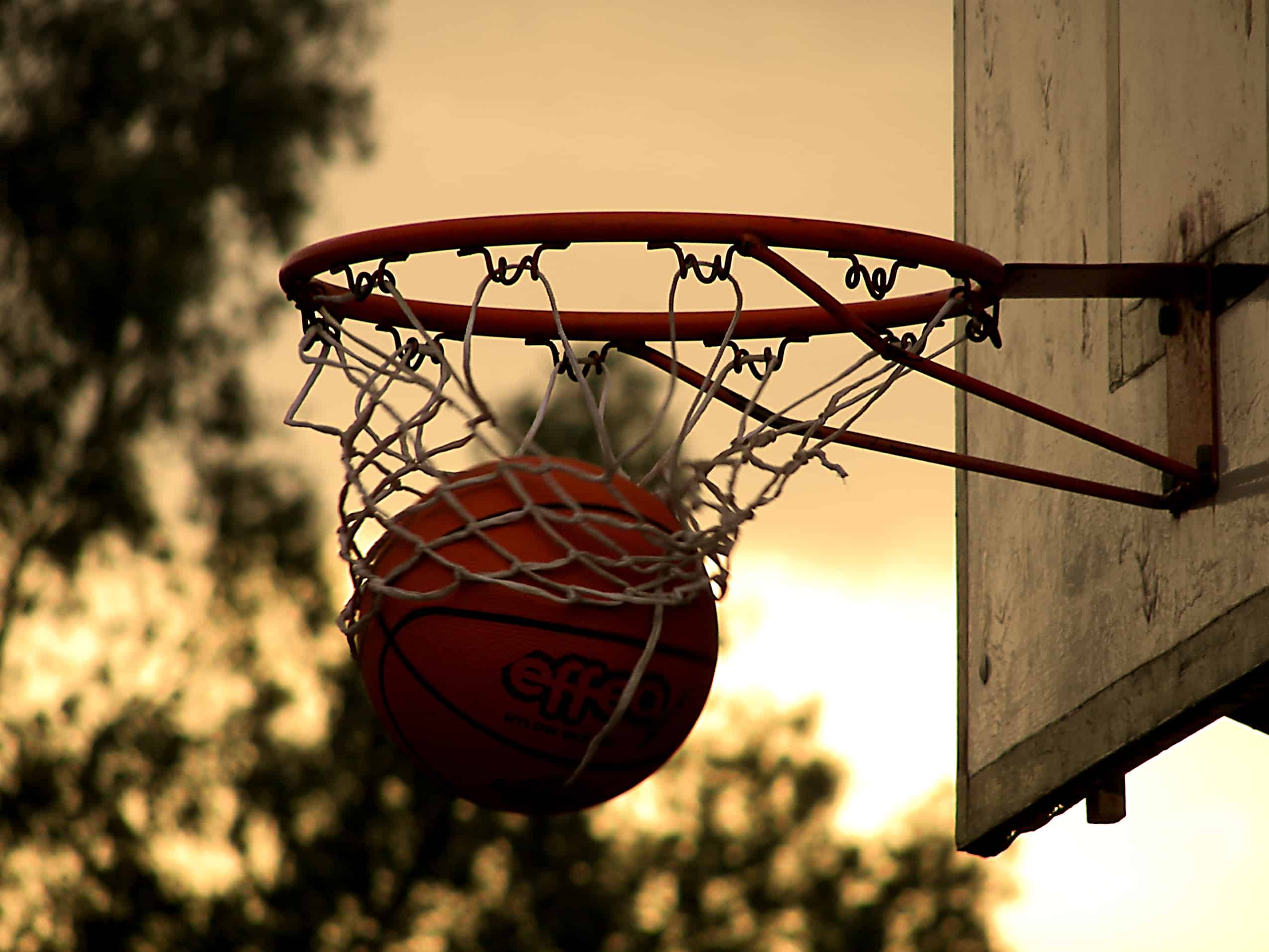 NBA 2019/2020, i risultati del 25 febbraio 2020: vittorie per Lakers e Boston, vince ancora Milwaukee