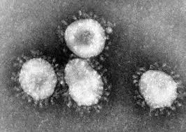 Clamoroso in Spagna: tentano partita tra infetti di Coronavirus e sani