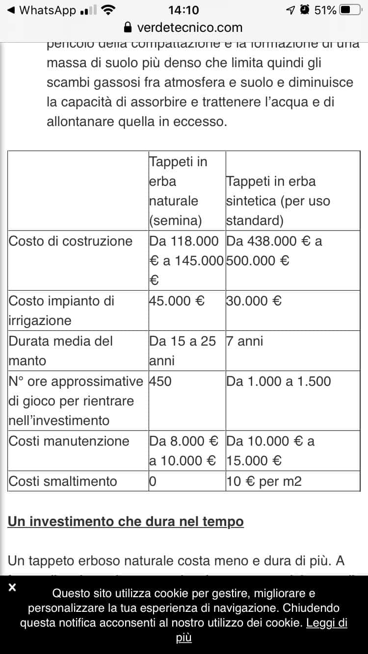 Differenza di costi tra un campo in erba sintetica ed uno in erba naturale