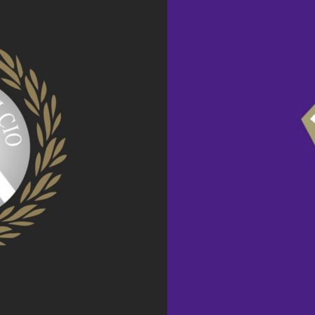 Video Gol Highlights Udinese – Fiorentina 0-2 e Sintesi 24-09-2023